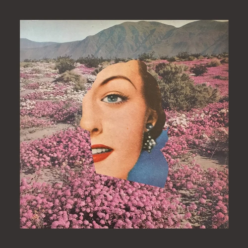 Skin / Daisy Cutter
