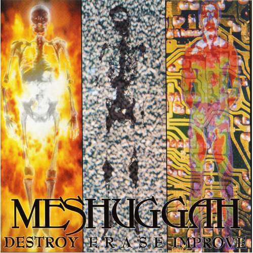 Destroy Erase Improve