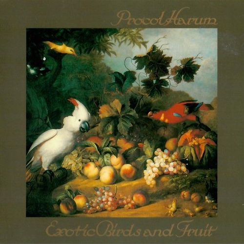 Exotic Birds And Fruit