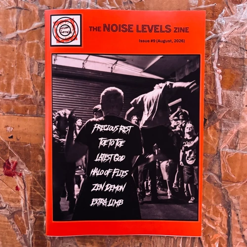 Noise Levels Zine #9 (Toe To Toe, Precious Rest, Latest God)