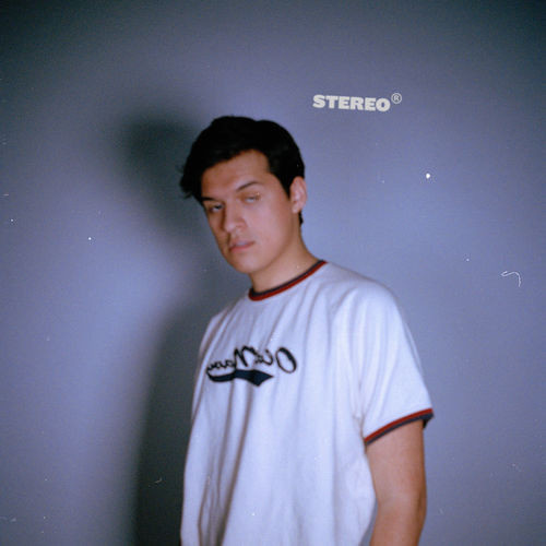 Stereo (Purple Marble Vinyl)