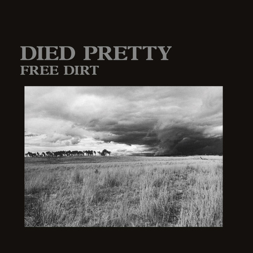 Free Dirt