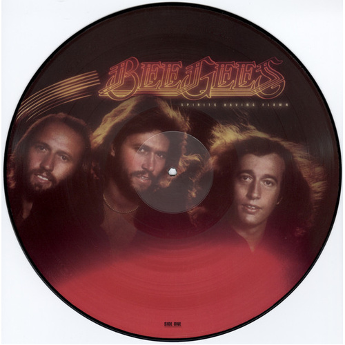Spirits Having Flown (Picture Disc)