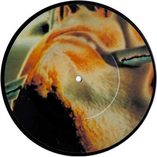 Shock The Monkey (Picture Disc)