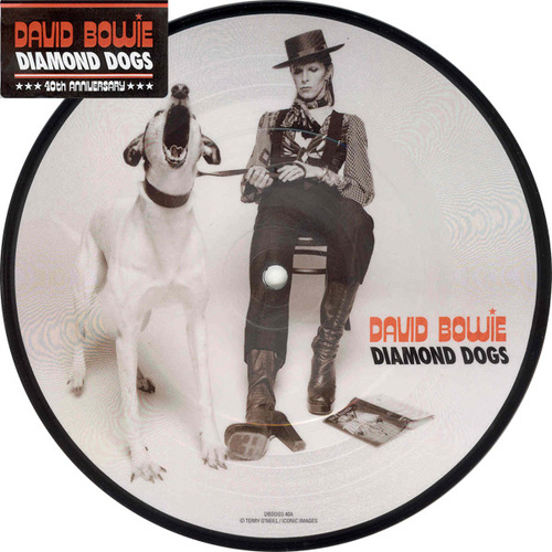 Diamond Dogs (Picture Disc)